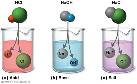 Physical And Chemical Properties Of Acids And Bases Notes
